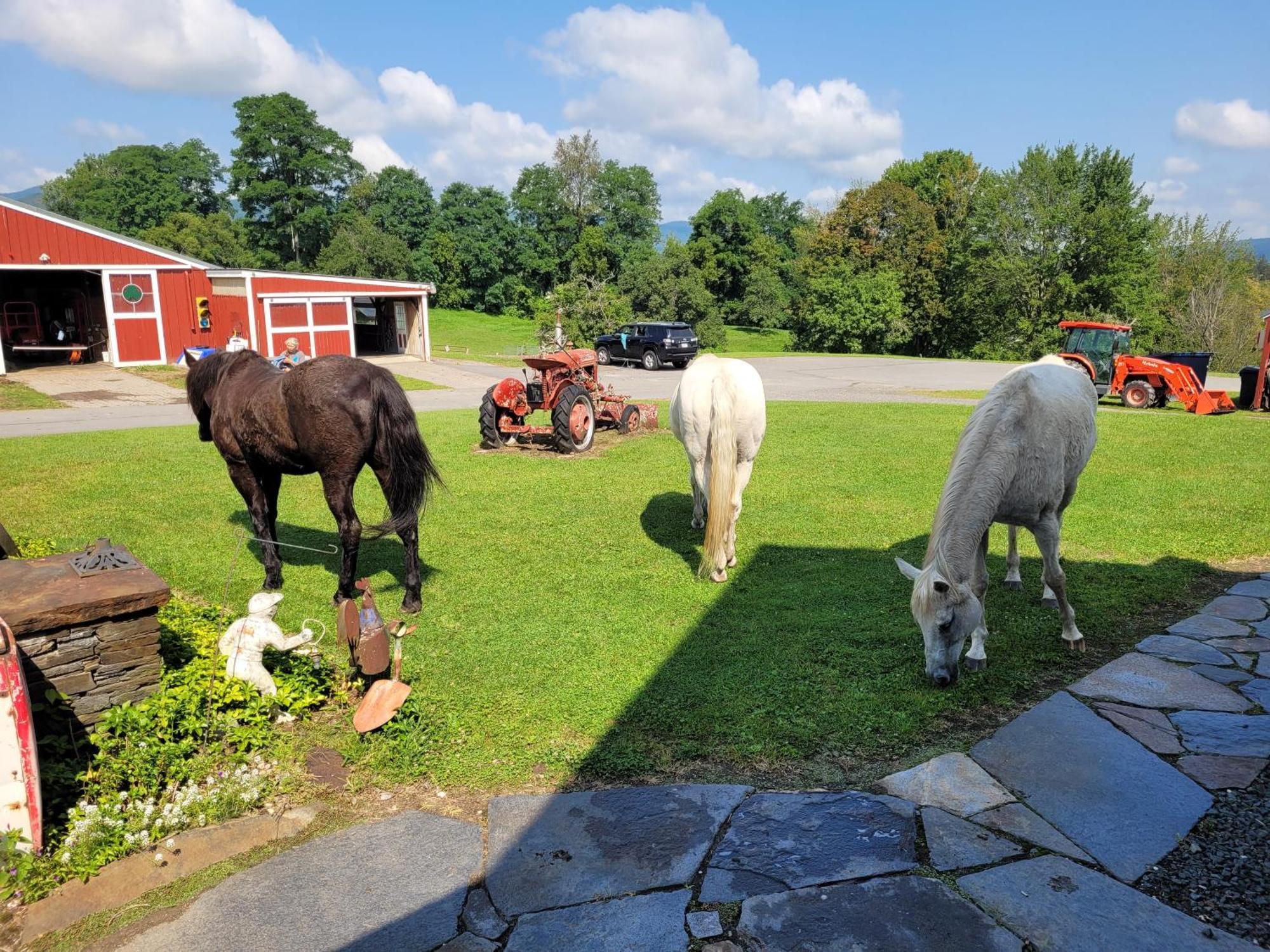 וויליאמסטאון Clover Hill Farm & Country Inn מראה חיצוני תמונה