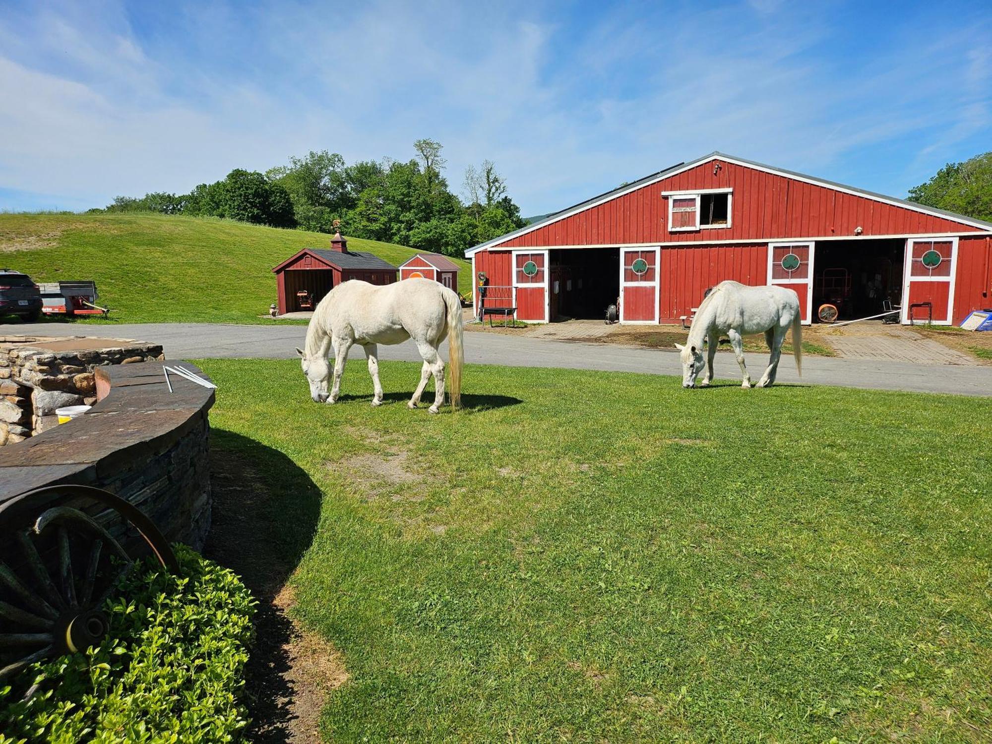 וויליאמסטאון Clover Hill Farm & Country Inn מראה חיצוני תמונה